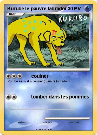 Pokemon Kurube le pauvre labrador