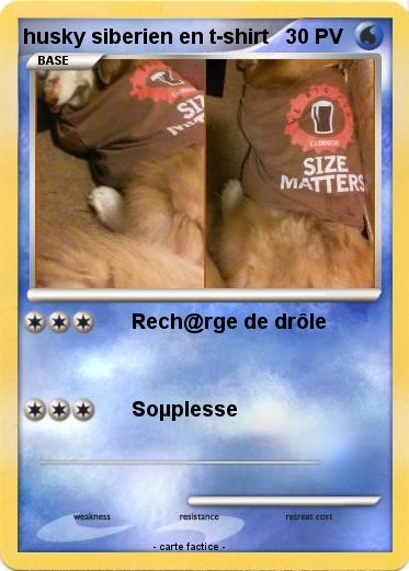 Pokemon husky siberien en t-shirt