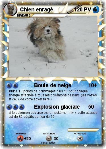 Pokemon Chien enragé