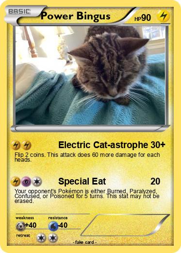 Pokemon Power Bingus