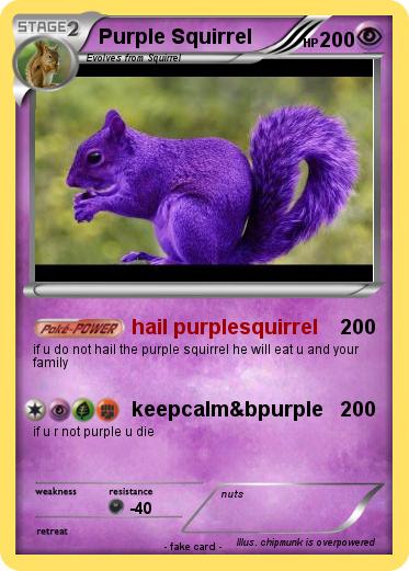 Pokemon Purple Squirrel