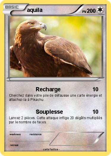 Pokemon aquila