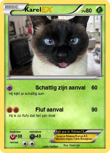 Pokemon Karel