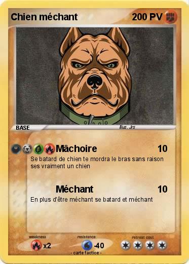 Pokemon Chien méchant