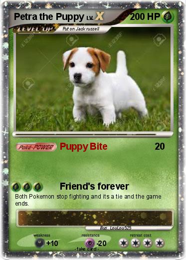 Pokemon Petra the Puppy