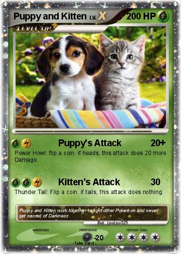 Pokemon Puppy and Kitten