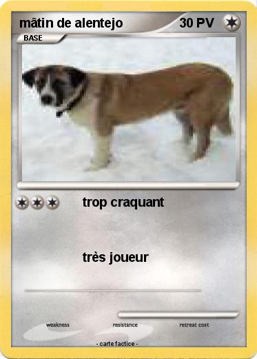 Pokemon mâtin de alentejo