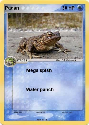 Pokemon Padan