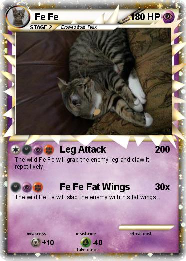 Pokemon Fe Fe