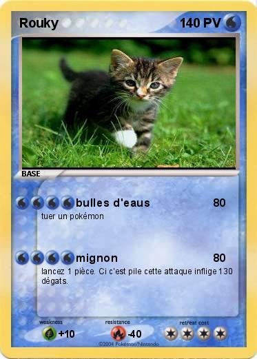 Pokemon Rouky