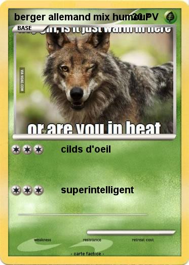Pokemon berger allemand mix humour