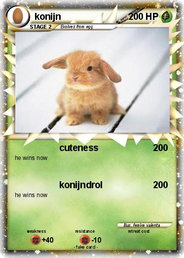 Pokemon konijn