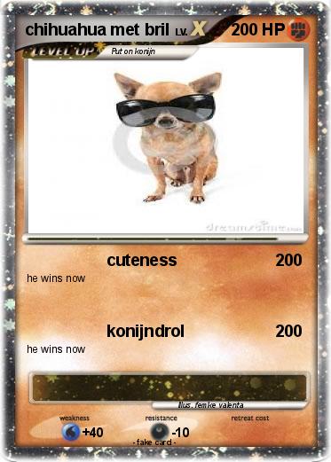 Pokemon chihuahua met bril