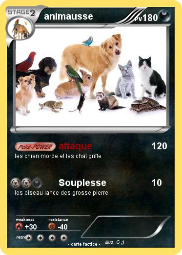 Pokemon animausse