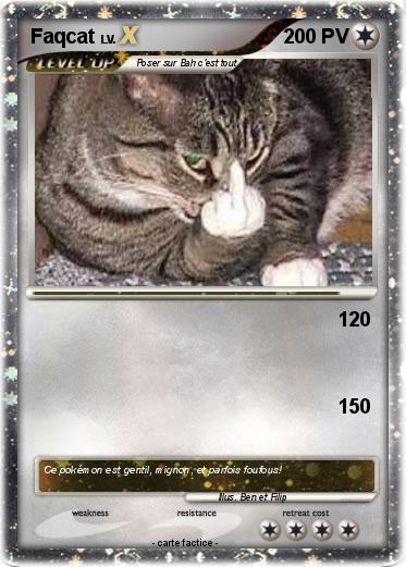 Pokemon Faqcat