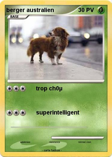 Pokemon berger australien