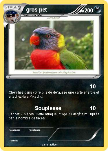 Pokemon gros pet