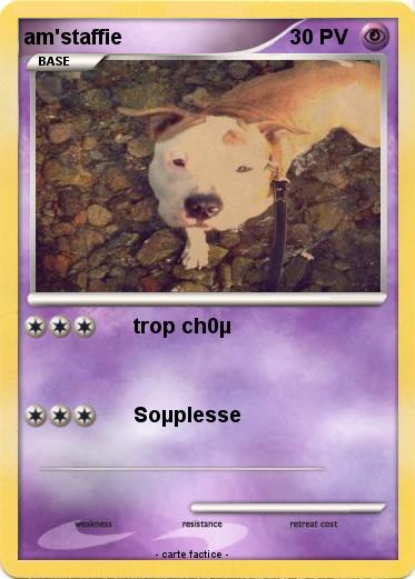 Pokemon am'staffie