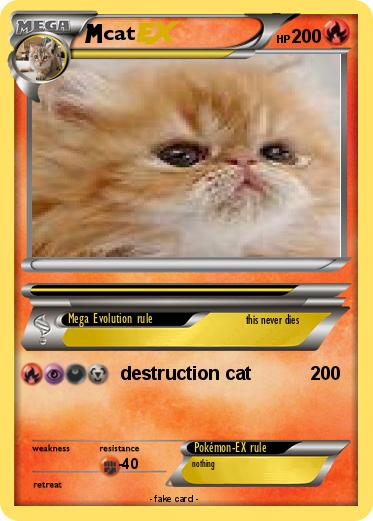 Pokemon cat