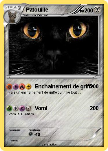 Pokemon Patouille