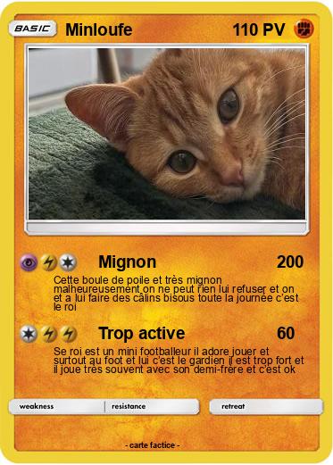 Pokemon Minloufe
