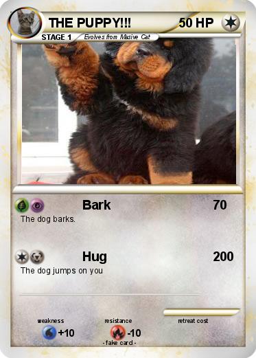 Pokemon THE PUPPY!!!