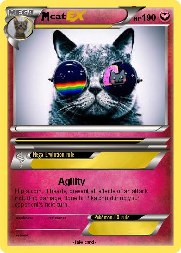 Pokemon cat