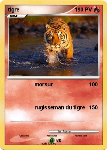 Pokemon tigre