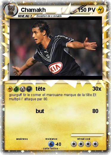 Pokemon Chamakh
