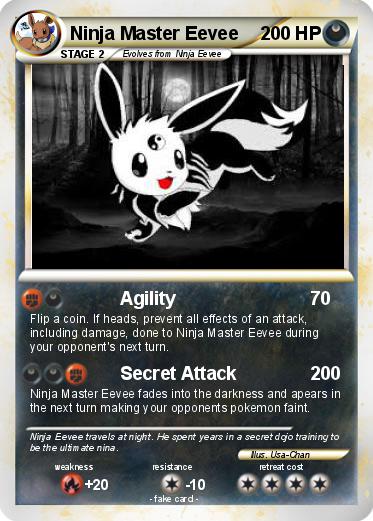 Pokemon Ninja Master Eevee