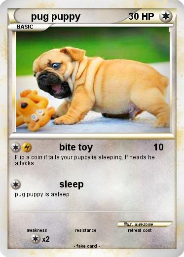 Pokemon pug puppy