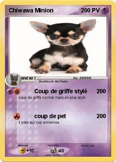 Pokemon Chiwawa Minion