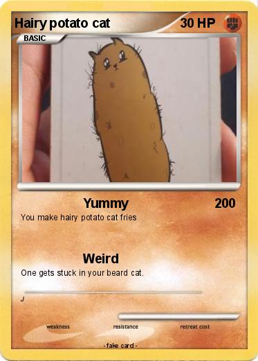 Pokemon Hairy potato cat