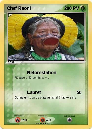 Pokemon Chef Raoni