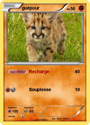 Pokemon guépour
