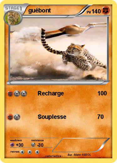 Pokemon guébont