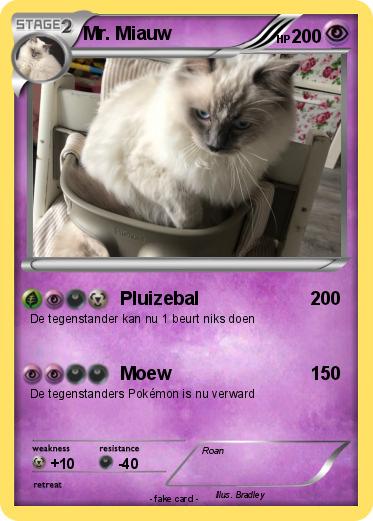 Pokemon Mr. Miauw