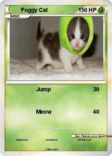 Pokemon Foggy Cat