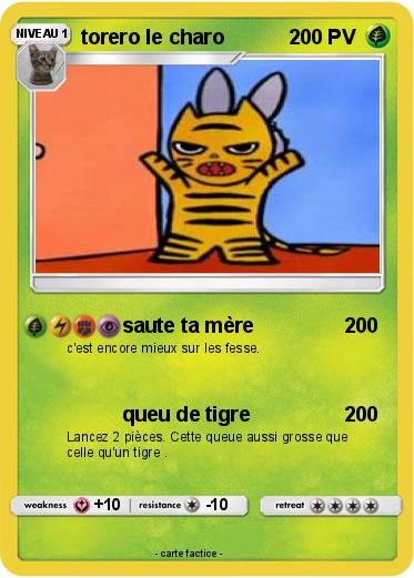 Pokemon torero le charo