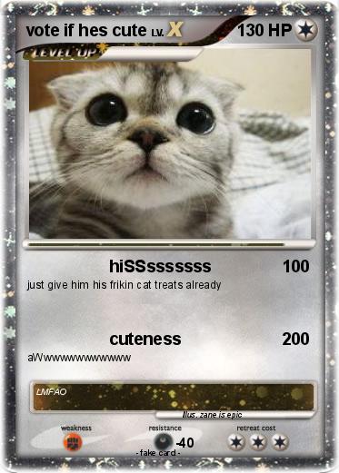 Pokemon vote if hes cute