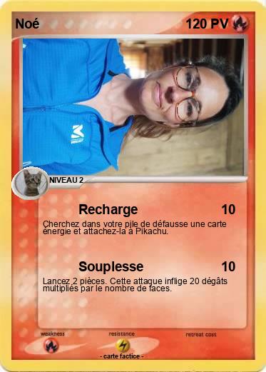 Pokemon Noé