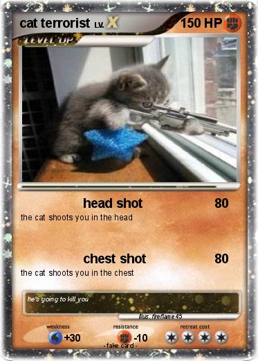 Pokemon cat terrorist