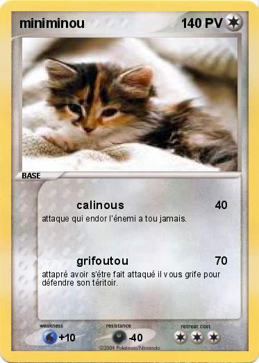 Pokemon miniminou
