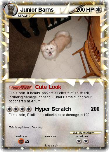Pokemon Junior Barns
