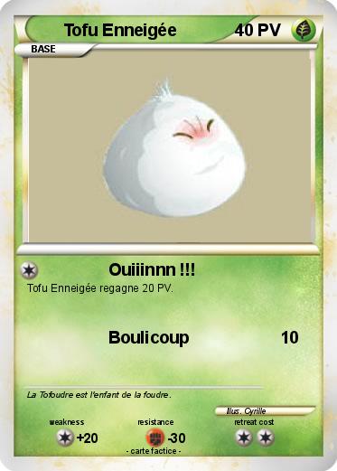 Pokemon Tofu Enneigée