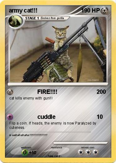 Pokemon army cat!!!