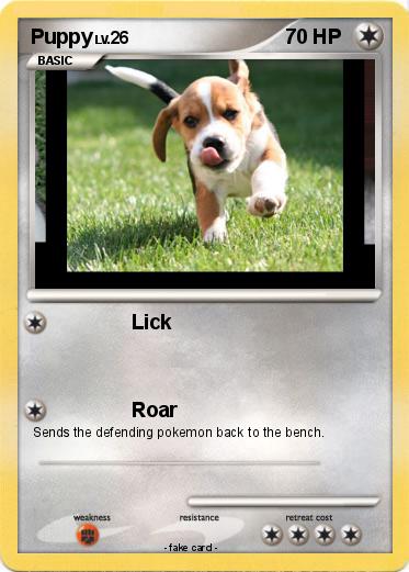 Pokemon Puppy