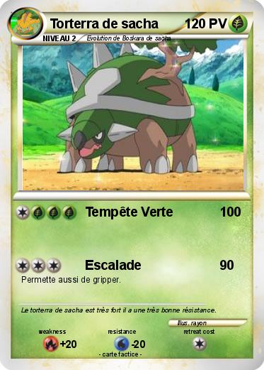 Pokemon Torterra de sacha