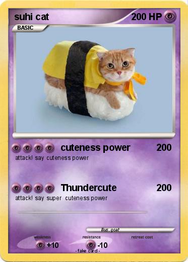 Pokemon suhi cat