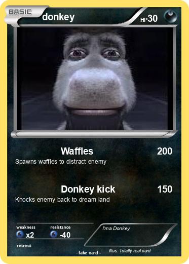 Pokemon donkey